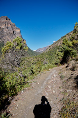The trail, when it was still unblemished by rain and destruction.                  20211021